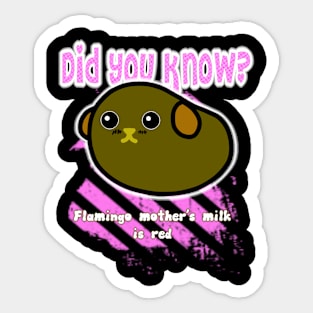 Did you know? 8 Sticker